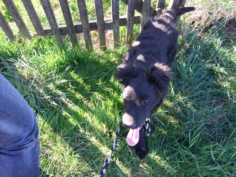 Ostern 2007 Orleshausen 086 